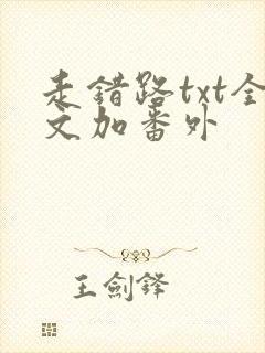 走错路txt全文加番外