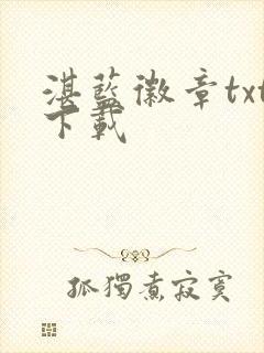 湛蓝徽章txt下载