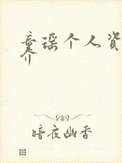 童瑶个人资料简介