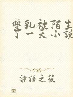 双乳被陌生人摸了一天小说