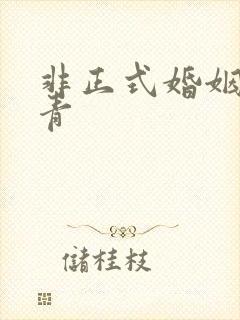 非正式婚姻雾里青封面