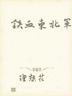 铁血东北军