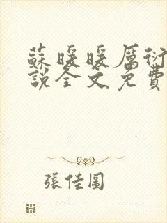 苏暖暖厉衍琛小说全文免费阅读