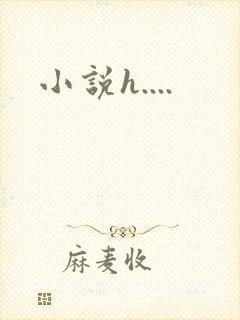 小说h....