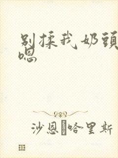 别揉我奶头啊～嗯