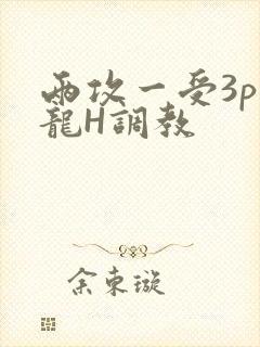两攻一受3p双龙H调教