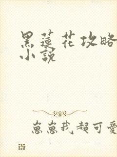 黑莲花攻略手册小说