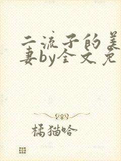 二流子的美貌娇妻by全文免费阅读小说