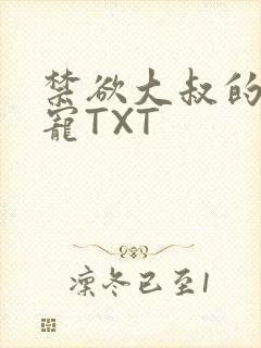 禁欲大叔的心尖宠TXT