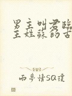 男主叫君临渊女主姓苏的古言小说