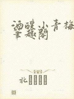 酒酿小青梅po笔趣阁