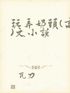 玩弄奶头(高h)文小说