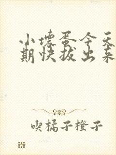 小坏蛋今天危险期快拔出来