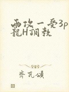两攻一受3p双龙H调教