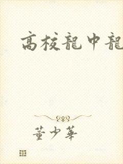 高校龙中龙
