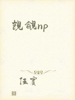 觊觎np