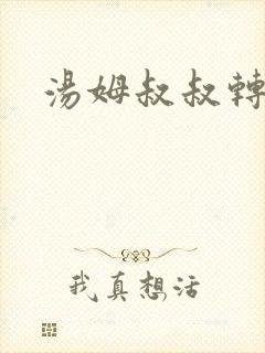 汤姆叔叔转接口封面