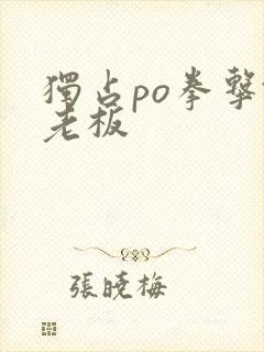 独占po拳击馆老板