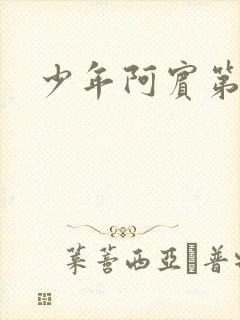 少年阿宾第二部