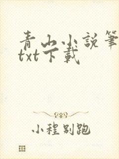 青山小说笔趣阁txt下载