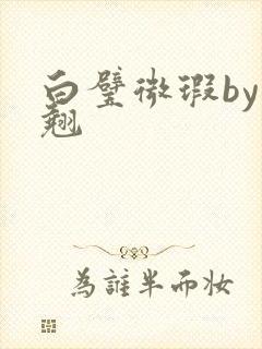 白璧微瑕by连翘