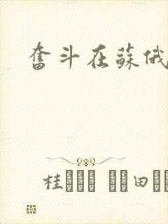 奋斗在苏俄封面