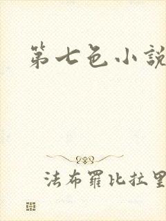 第七色小说封面
