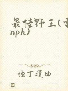最佳野王(电竞nph)