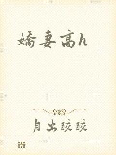 娇妻高h