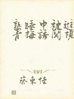 熟睡中被进了H青梅诱哄视频