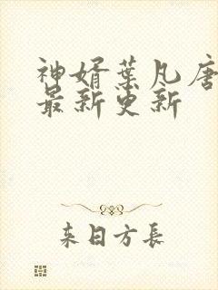 神婿叶凡唐若雪最新更新封面