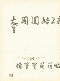 大团圆结2亲情会