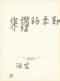 灿烂的季节剧情介绍