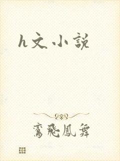 h文小说