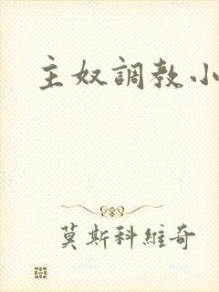 主奴调教小说