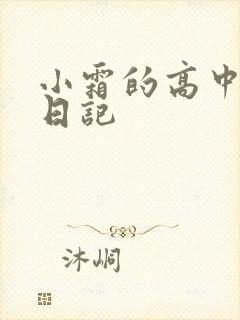小霜的高中成长日记封面