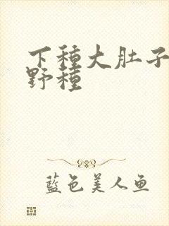 下种大肚子怀孕野种