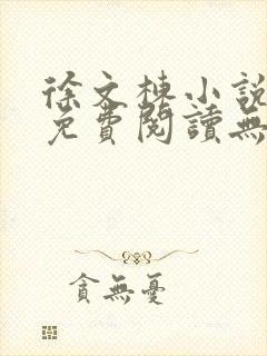 徐文栋小说全文免费阅读无弹窗