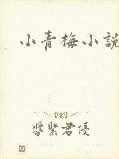 小青梅小说封面