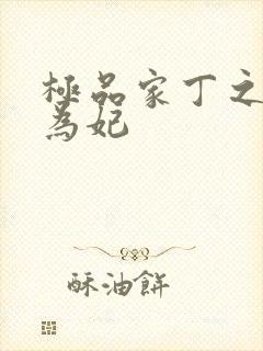 极品家丁之册母为妃