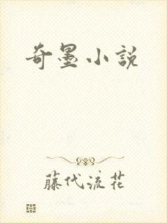 奇墨小说封面