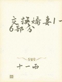 交换娇妻1一36部分