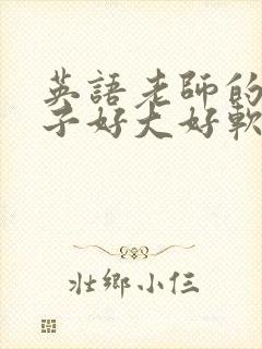 英语老师的小兔子好大好软水