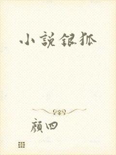 小说银狐