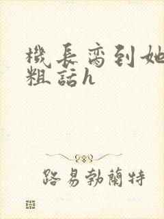 机长脔到她哭h粗话h封面