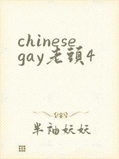 chinesegay老头4封面
