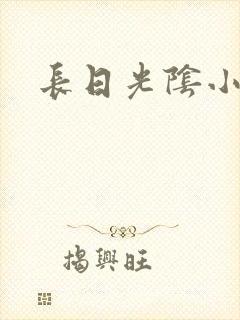 长日光阴小说封面