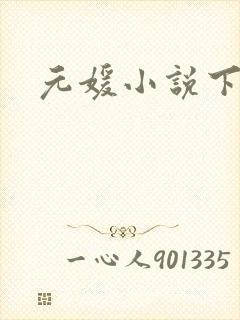 元媛小说下载封面