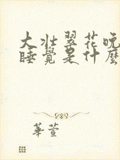 大壮翠花晚上不睡觉是什么电视剧