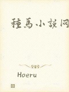 种马小说网